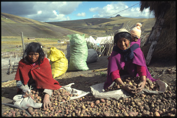san pablo-01.jpg